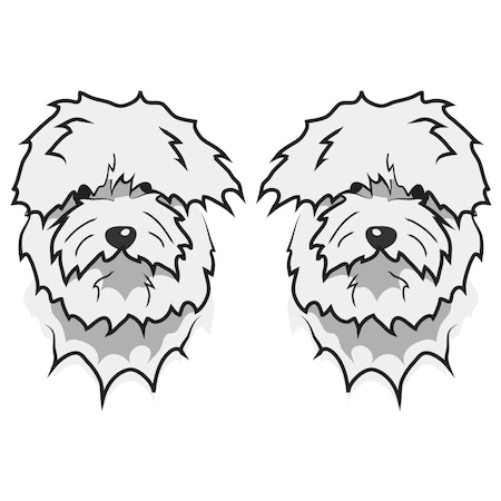Signmission Coton De Tulear Dog Decal, Dog Lover Decor Vinyl Sticker D-24-Coton De Tulear